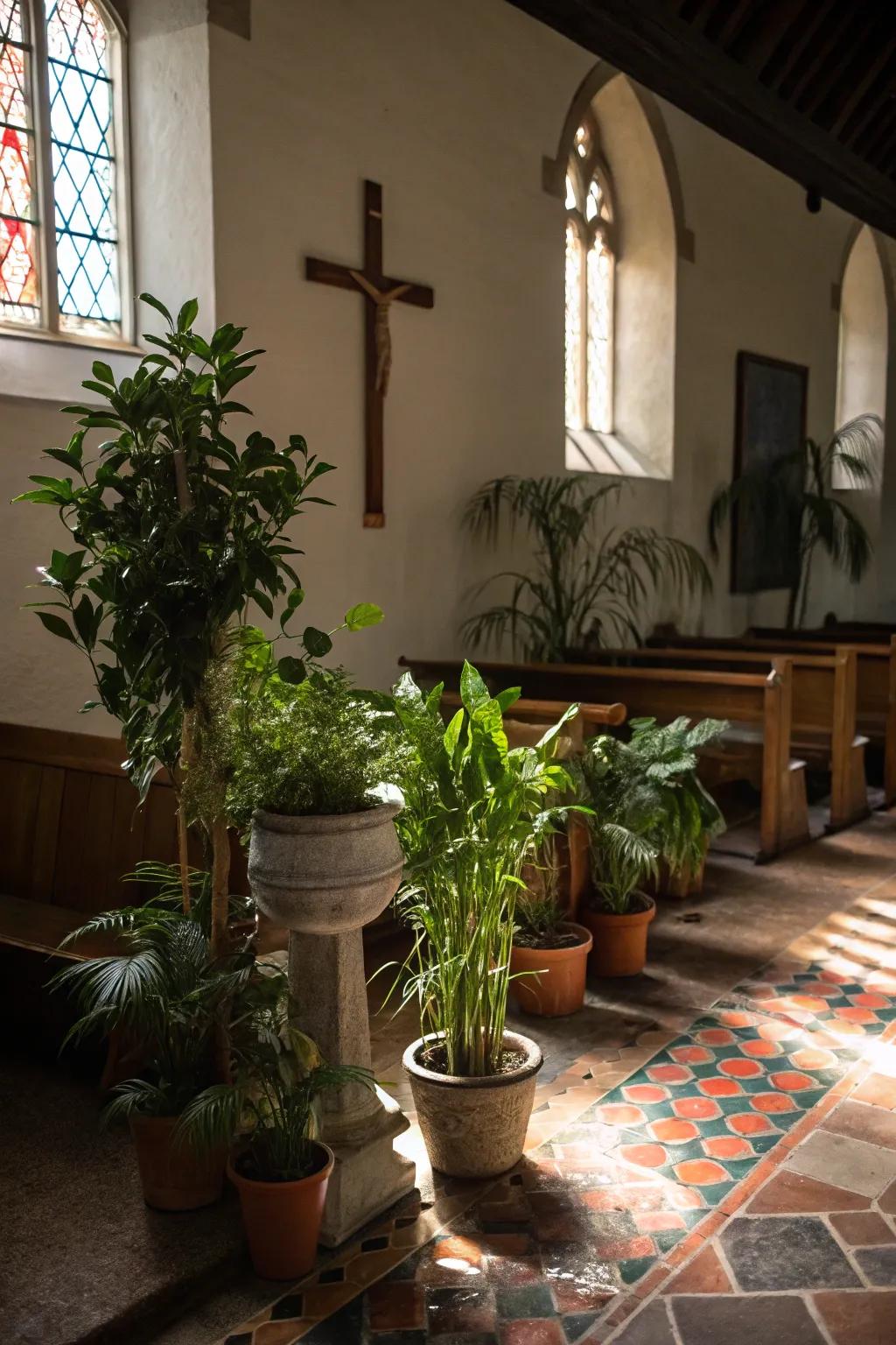 Lush greenery adding a fresh touch to a church entrance.