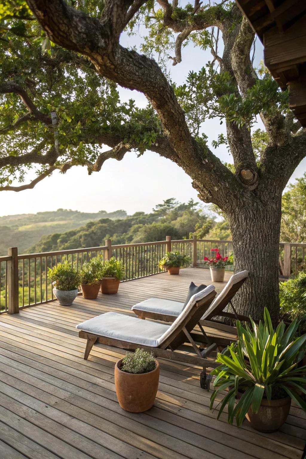 A deck surrounding the tree elevates your outdoor experience.