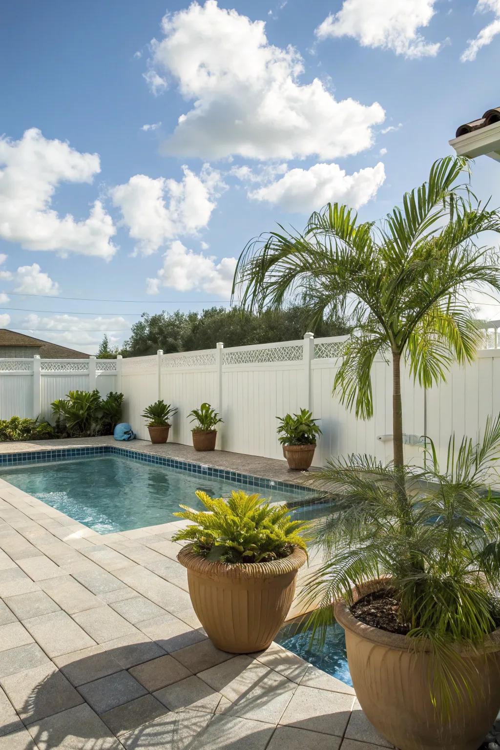 Mobile palms offer versatility and lushness to any poolside area.