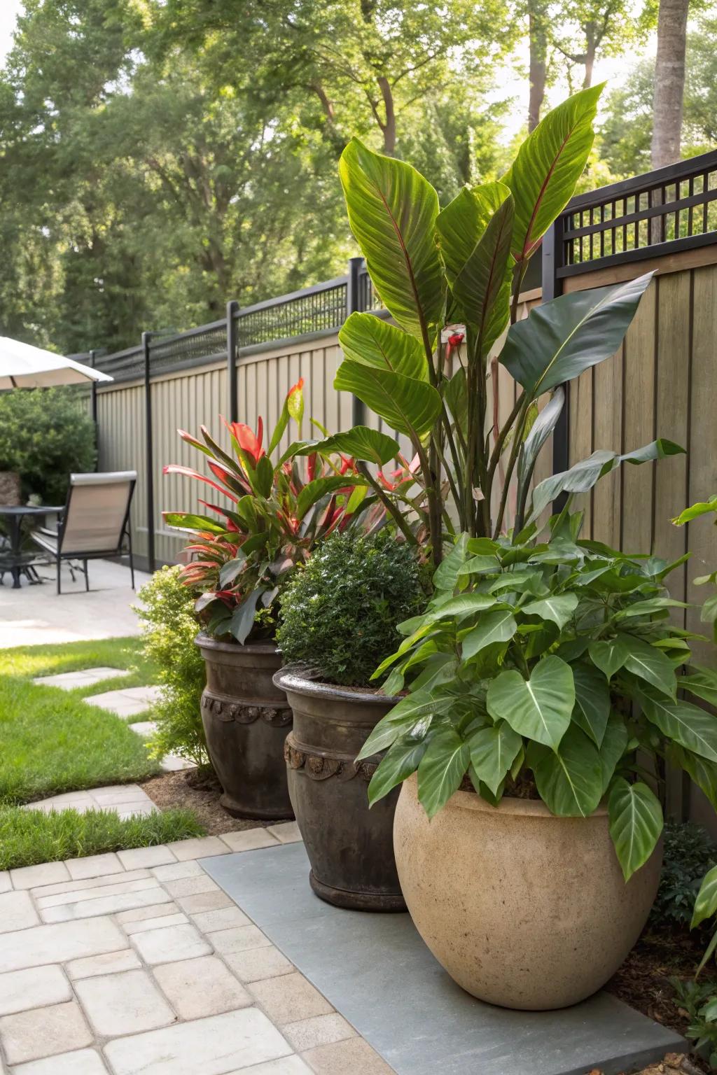 Potted plants offer adjustable and green privacy solutions.