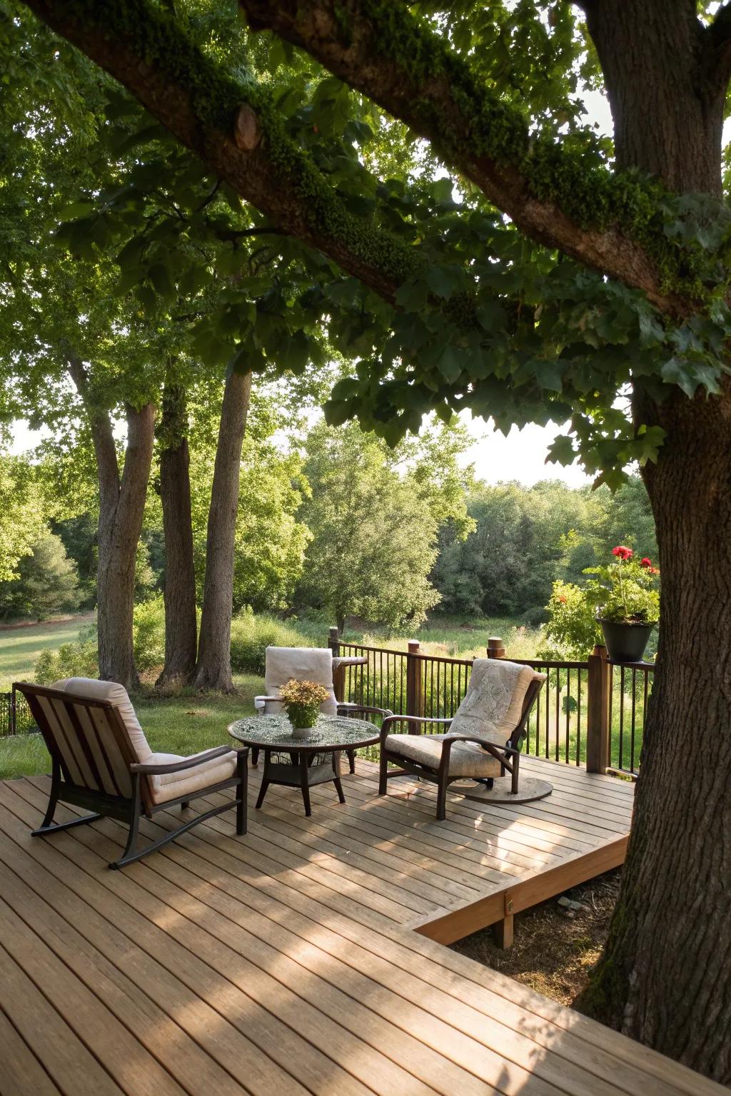 Natural tree shade cultivates a tranquil and eco-conscious deck setting.