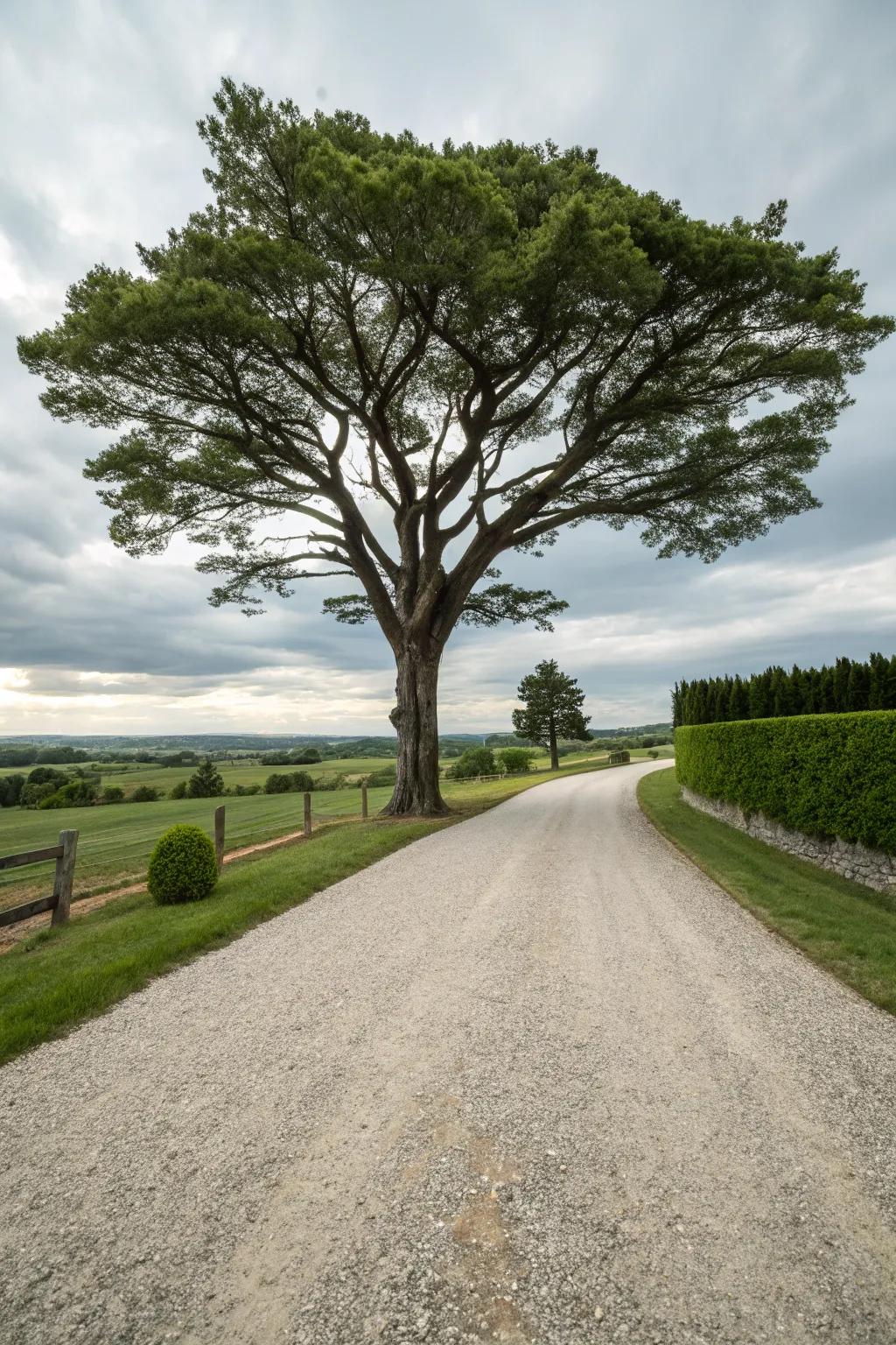 A centerpiece tree incorporates grandeur and intrigue.