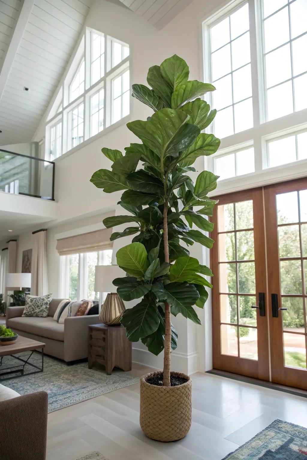 Tall plants enhance the verticality and bring a touch of nature indoors.