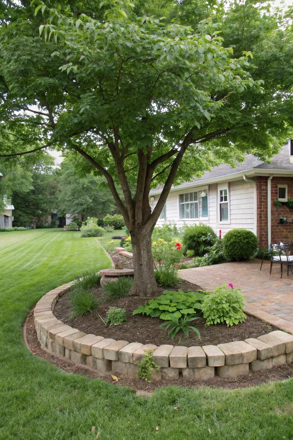 A tree defined by a border of bricks, delivering a neat and structured appearance.