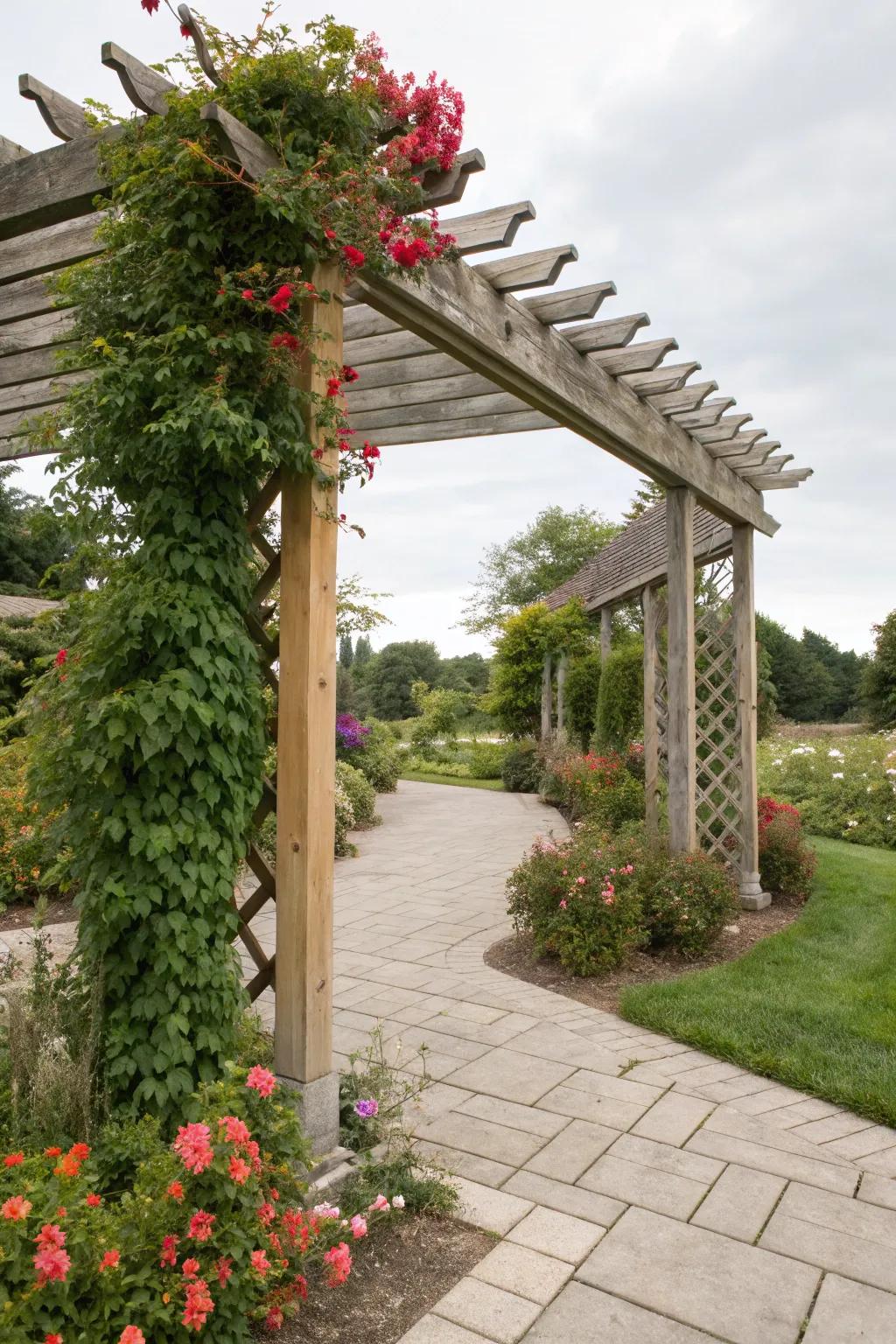 Trellis integration creates a living, dynamic design.