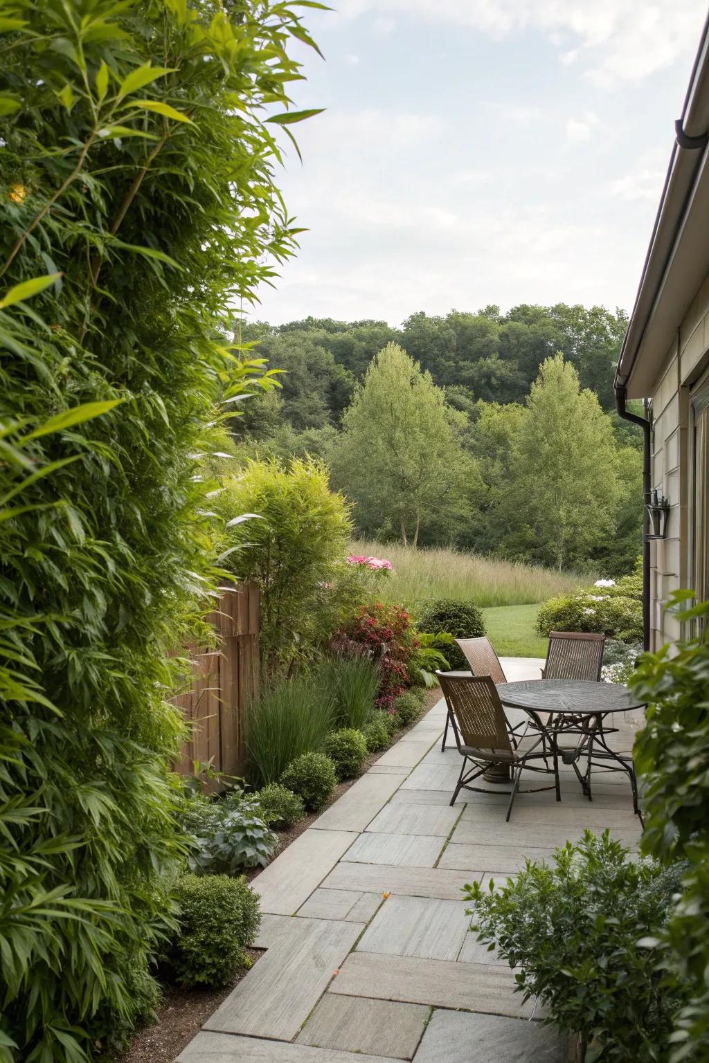 Tall plants provide a natural screen and a sense of nature.