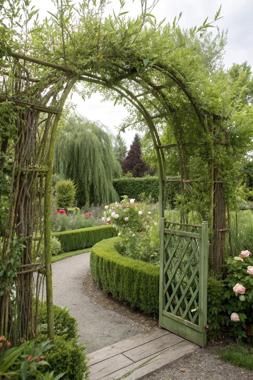 A live osier portal that resonates with nature.