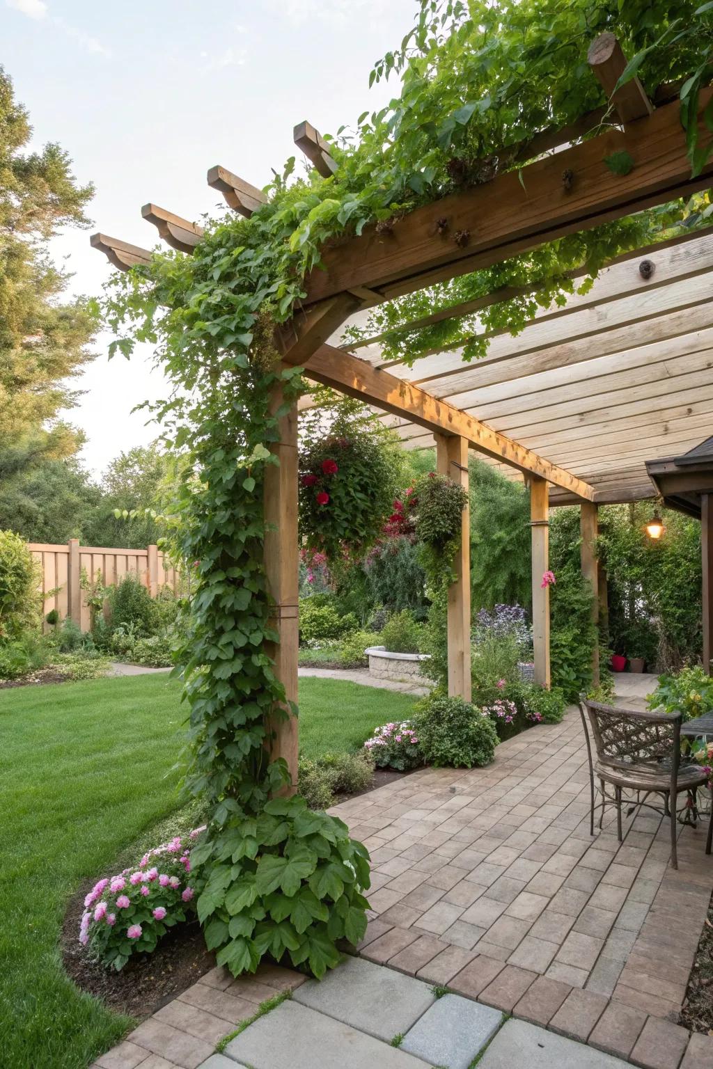 A pergola adorned with climbing plants generates a shaded haven.