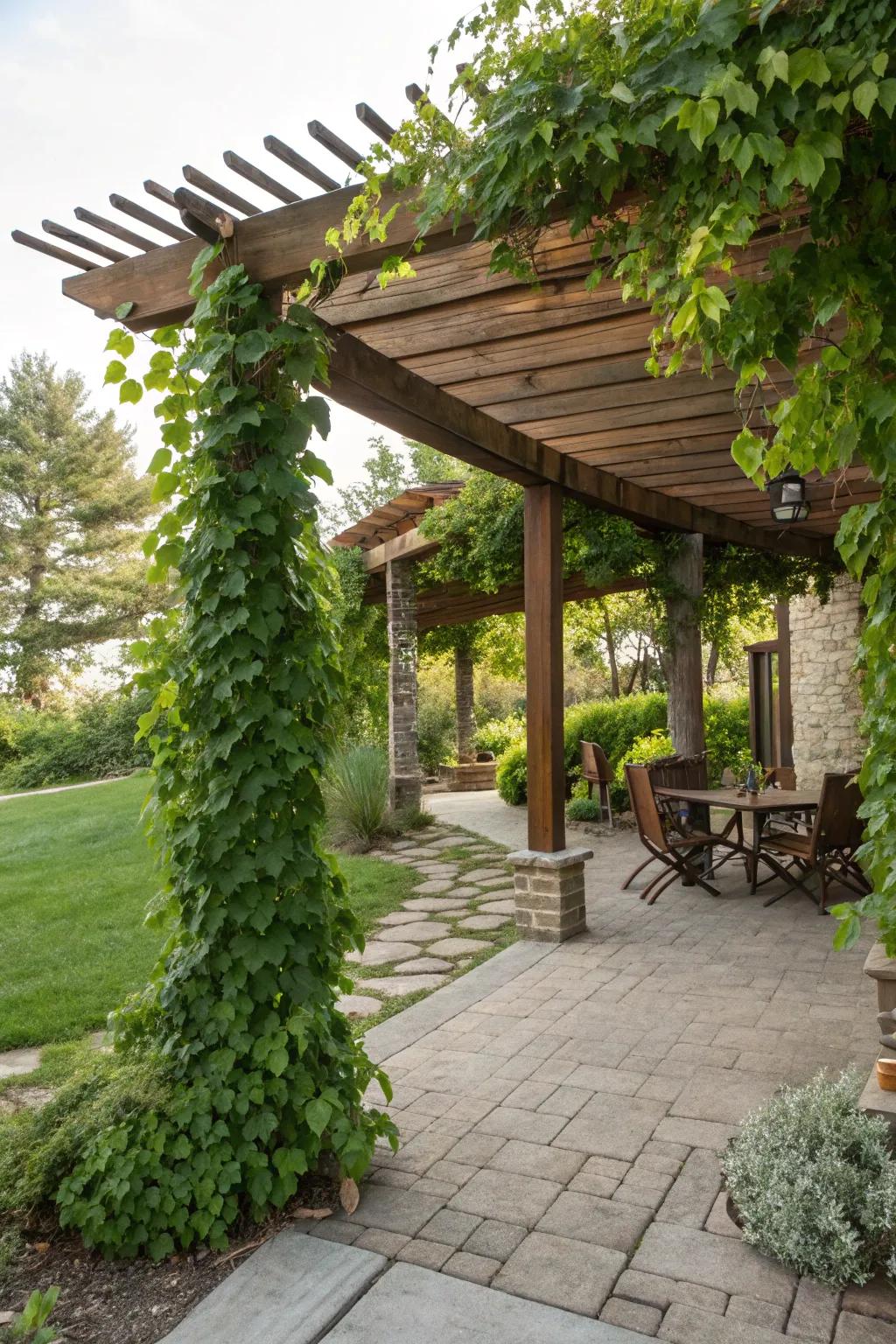 A garden trellis adds arrangement and shade.