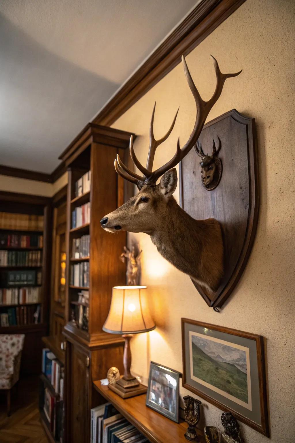 Deer antlers displayed on a heritage panel give a warm reading area historical charm.