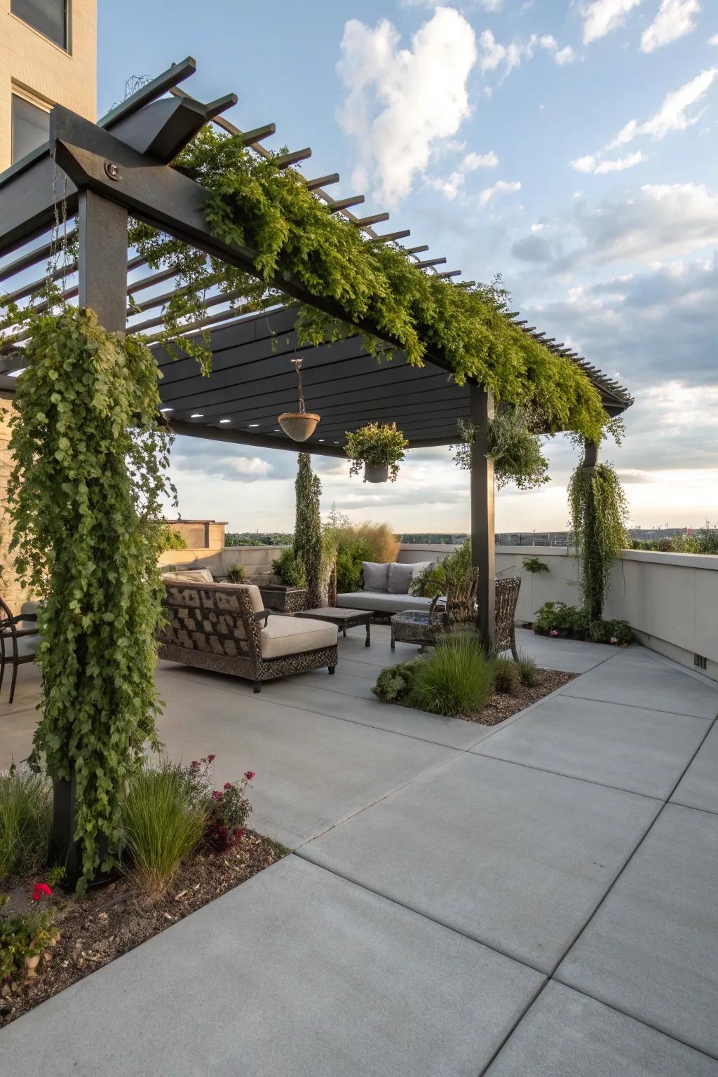 A pergola brings shade and elegance to your patio.