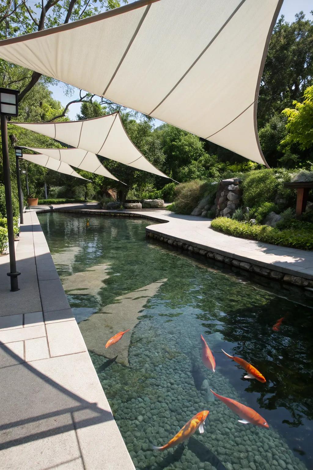 A koi pond with sail shades offering a sleek, modern appearance.