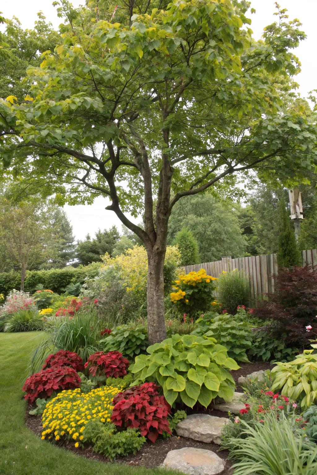 A tree surrounded by a diverse mix of plants, enriching the garden with texture and color.