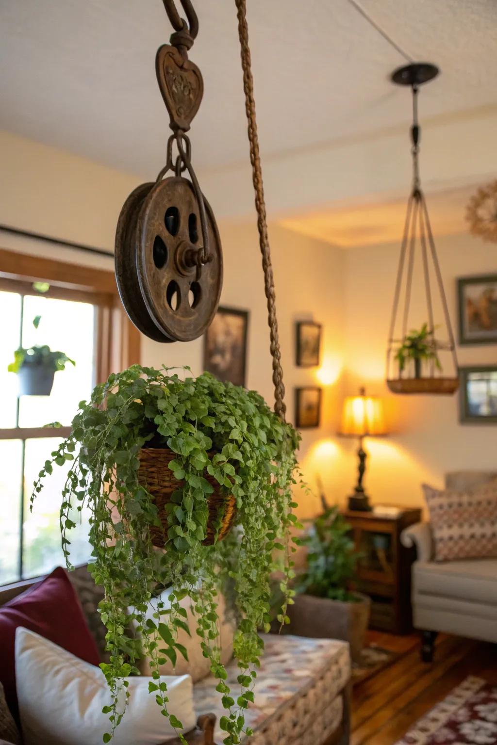 Enhance your greenery display with a pulley-supported plant suspension.