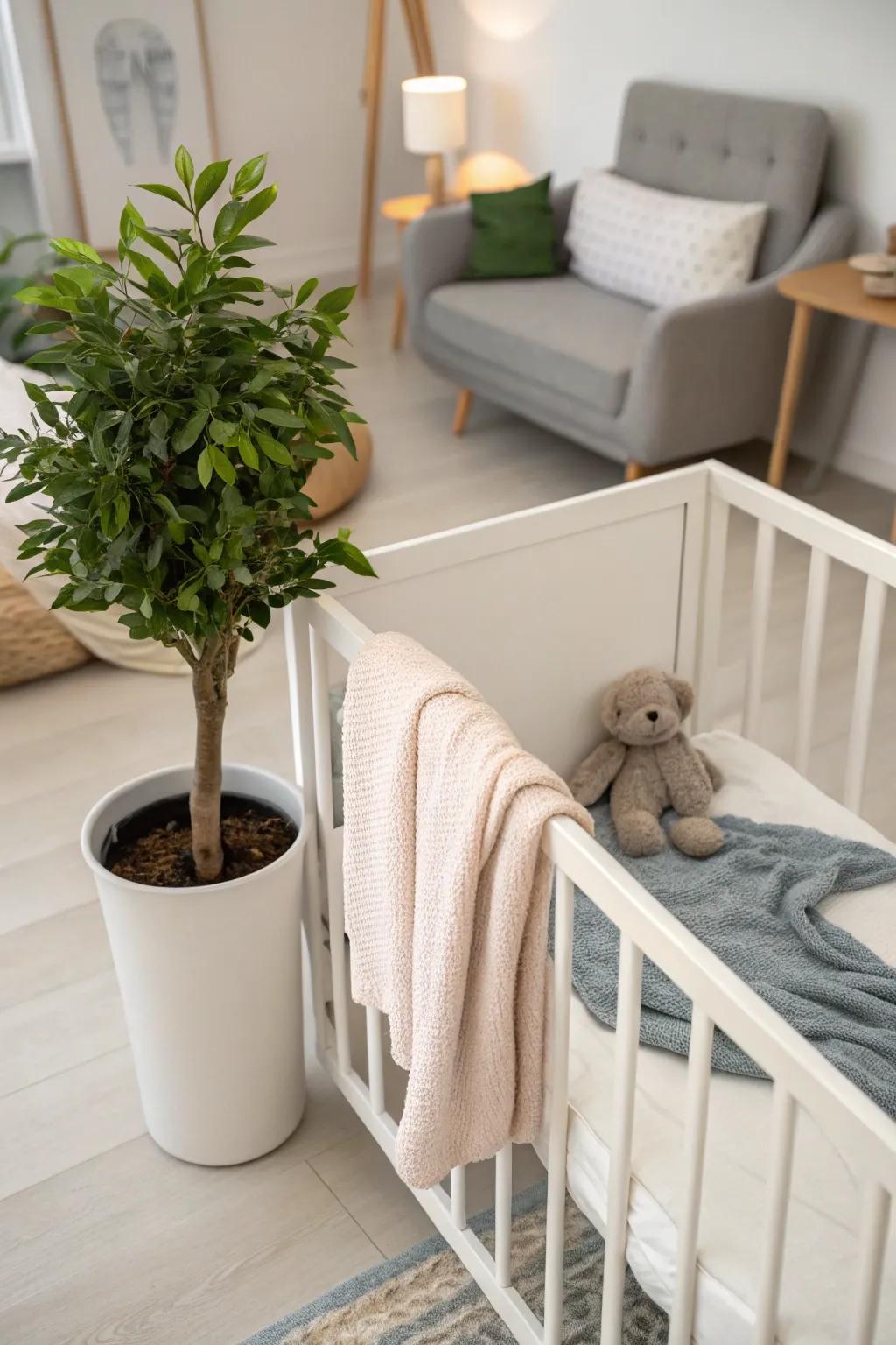 Adding a touch of greenery can revitalize your baby's corner and bring in a sense of natural beauty and peace.