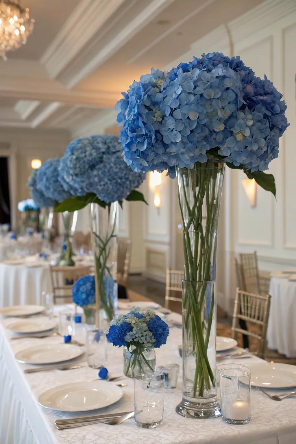 Tall vases give blue hydrangeas a dramatic, elegant presence.