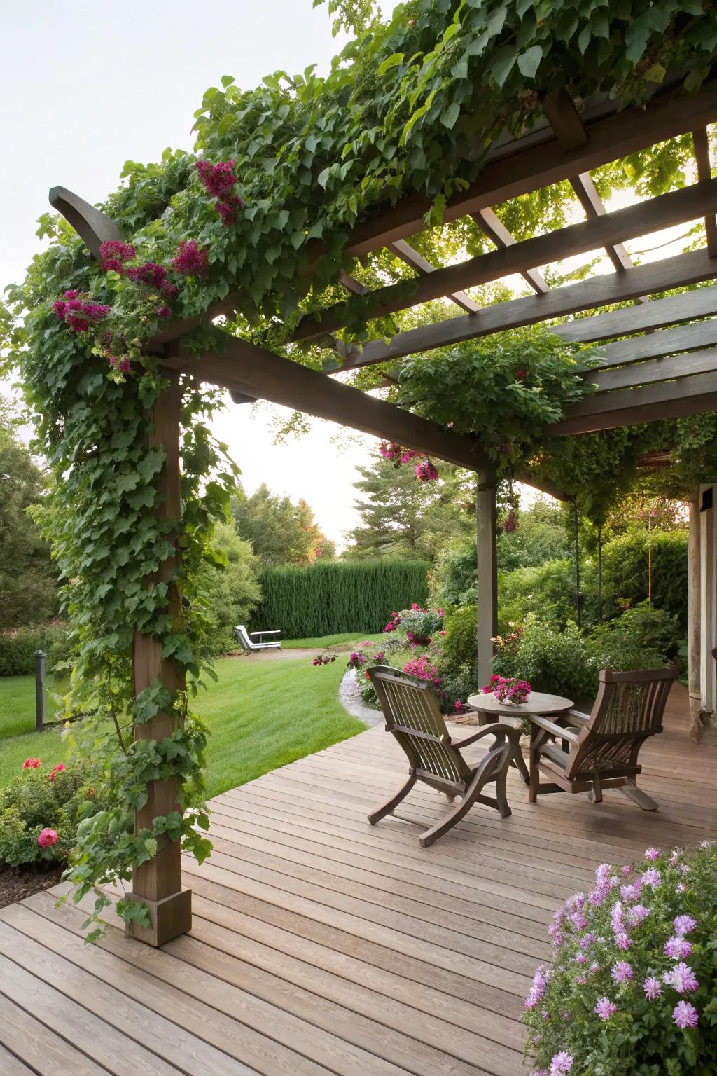 A pergola adds structure and shade to this inviting deck space.