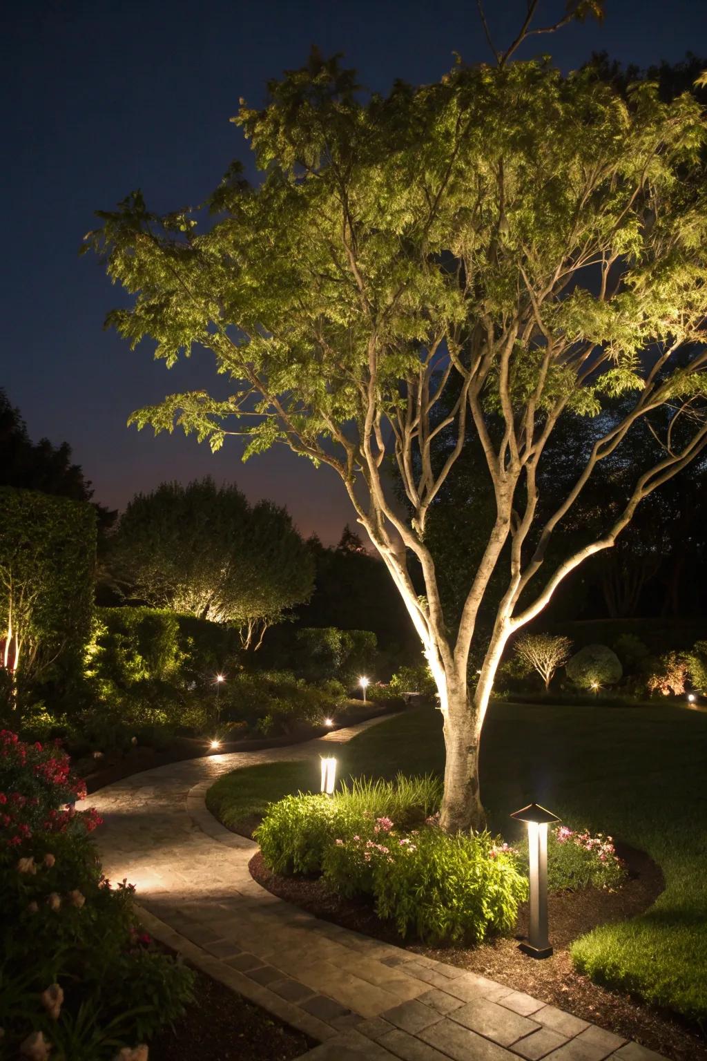 Highlight your garden's beauty with solar lights.