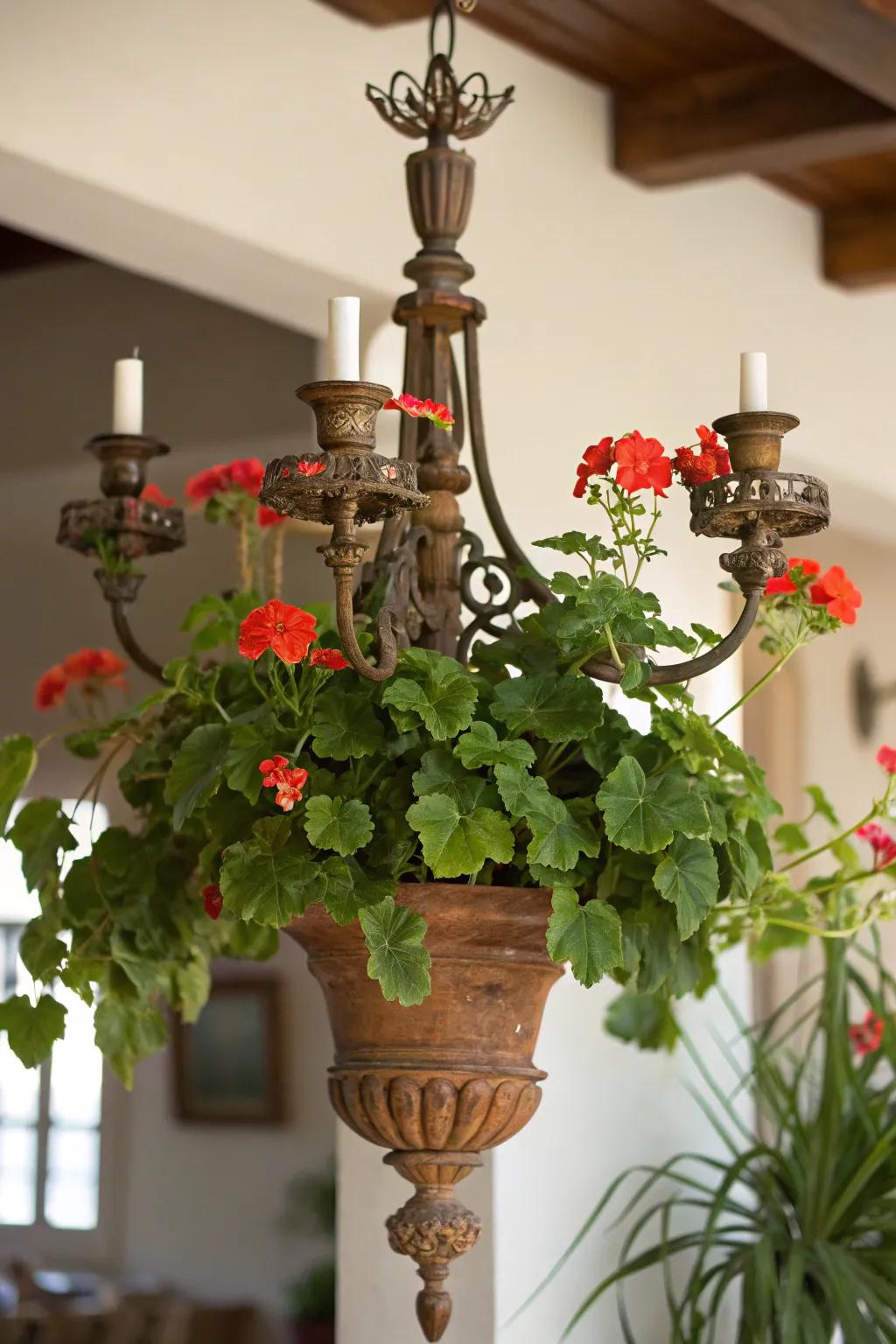 Elegance meets inventiveness in this light fixture planter.