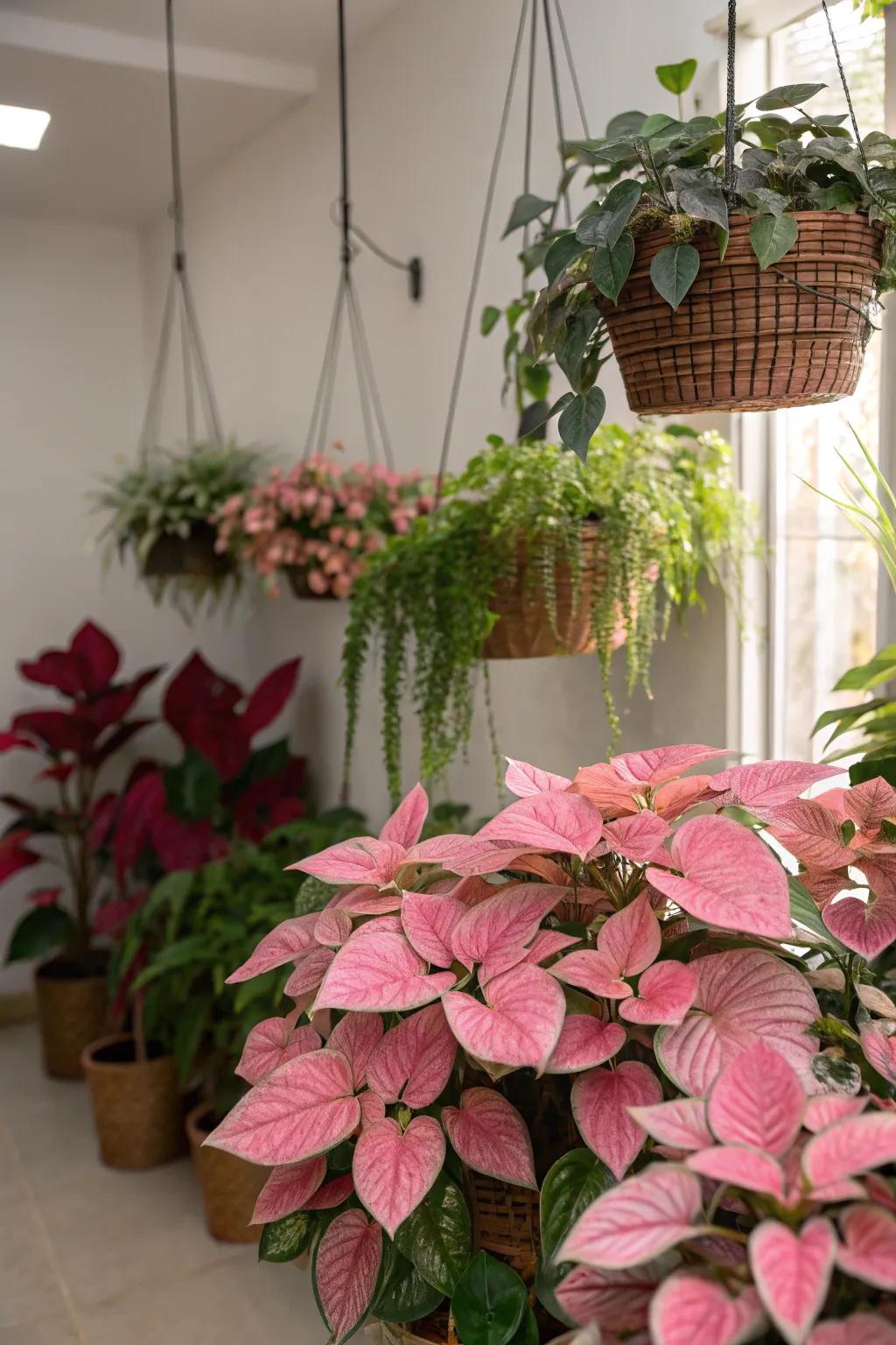 Plants with pink-hued leaves add a natural pop of color.