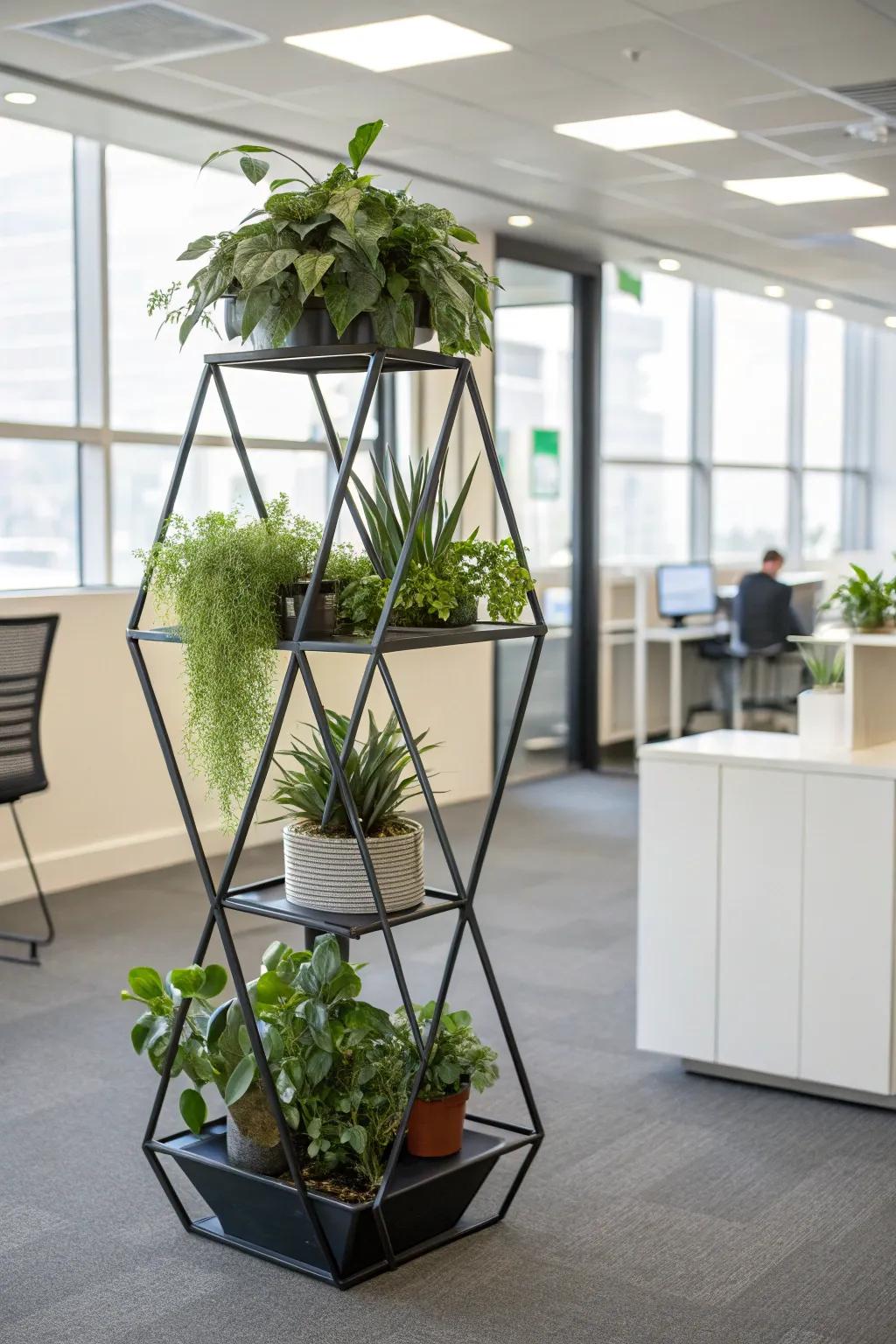 Add architectural appeal with geometric plant stands.