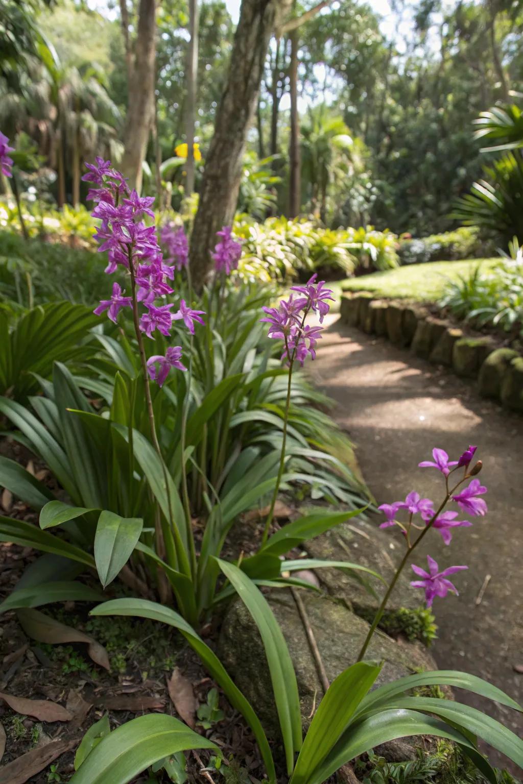 Tropical petals lend a tropical feel to the garden.