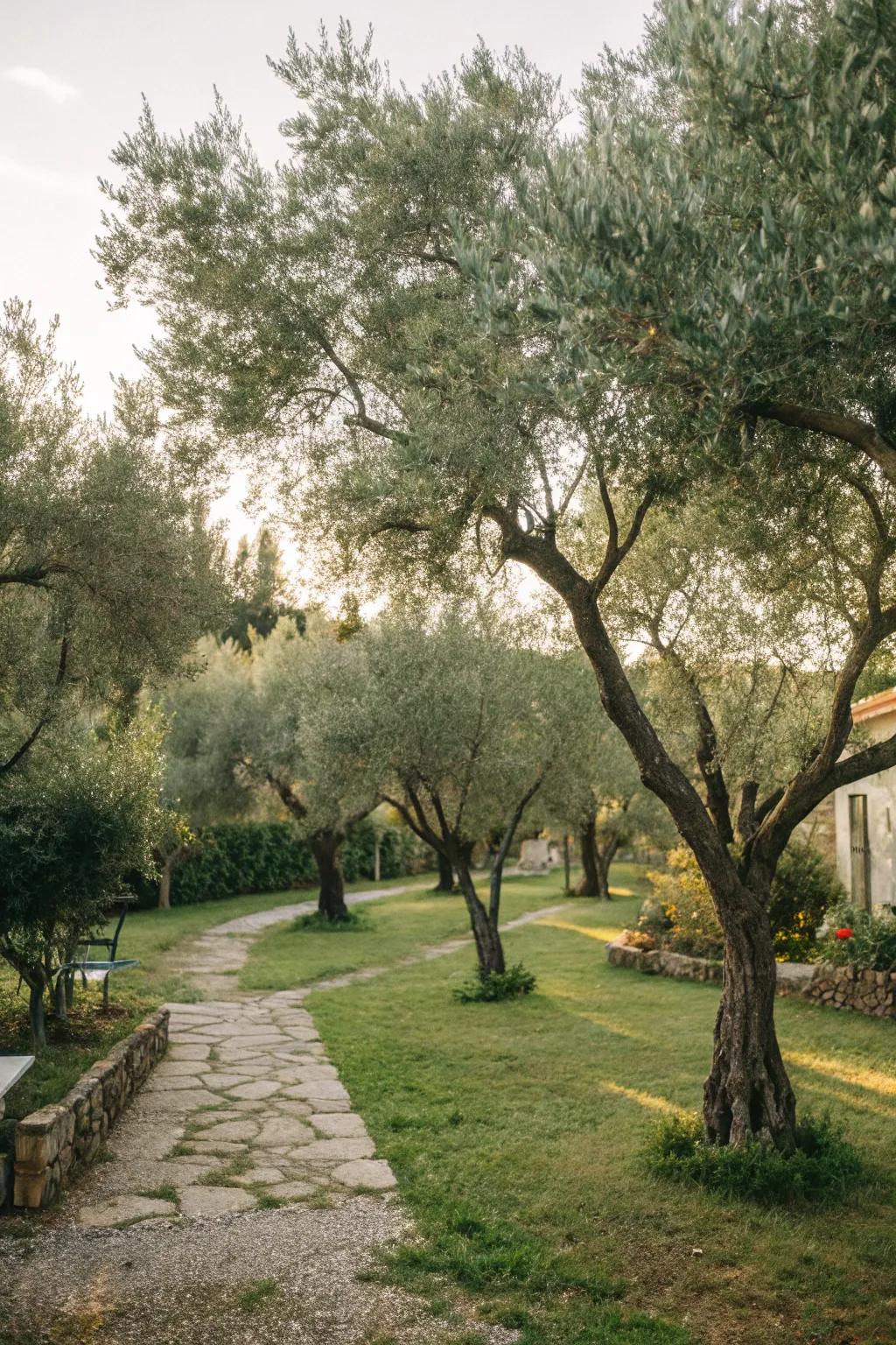 Create a serene space with a cohesive grove of trees.