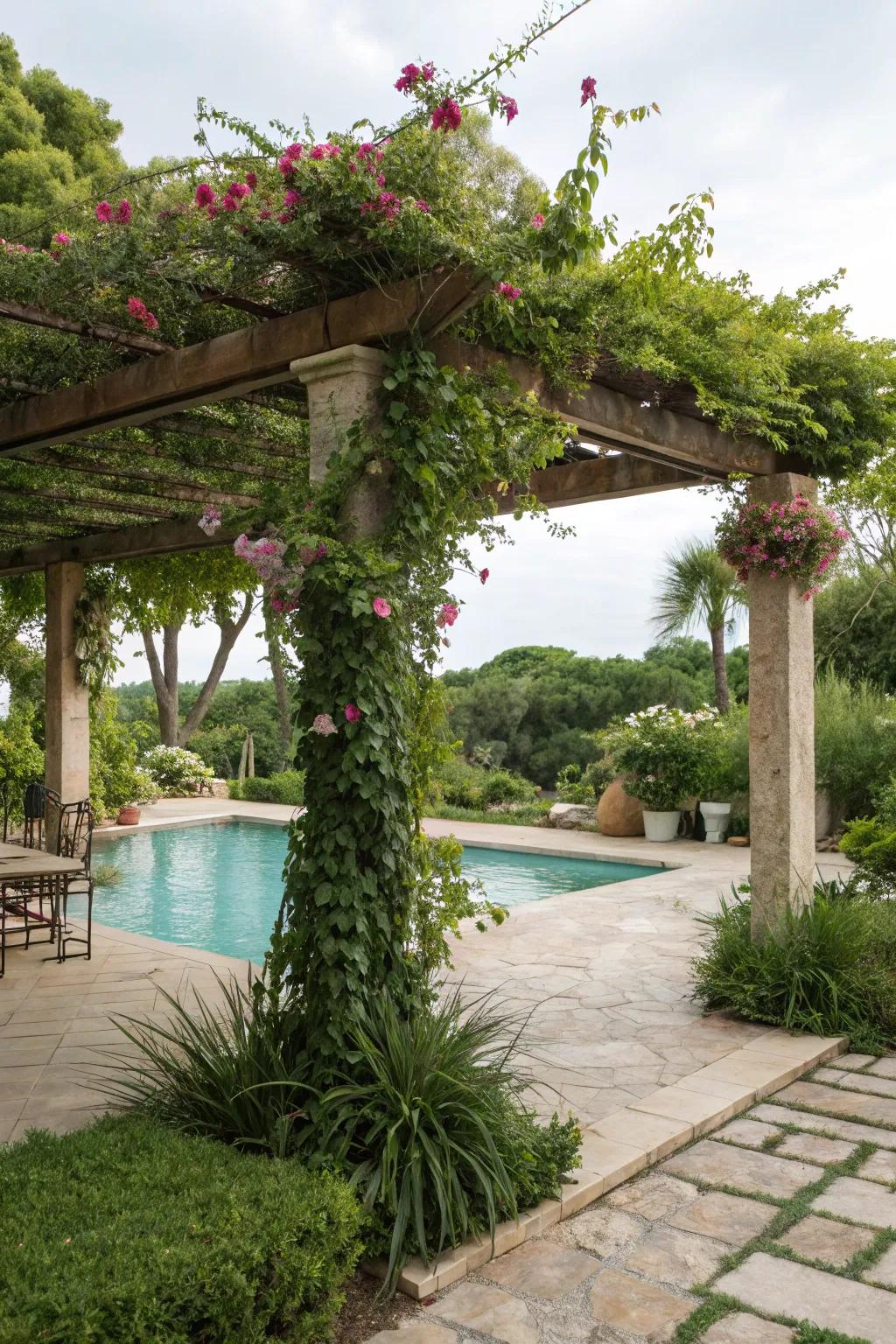 Greenery around a pergola delivers a natural, serene hideaway.