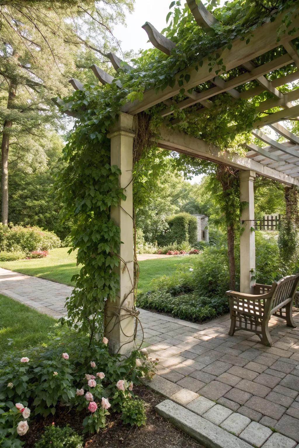 A pergola with climbing vines offers a shaded retreat.