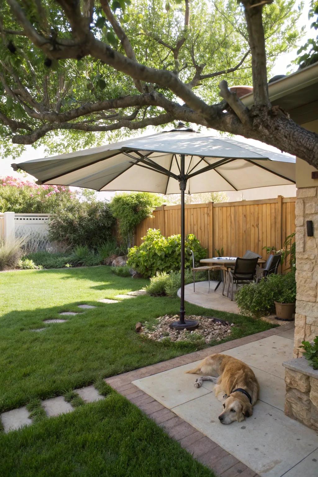 Ensure your dog has a cool retreat with shaded relaxation spots.