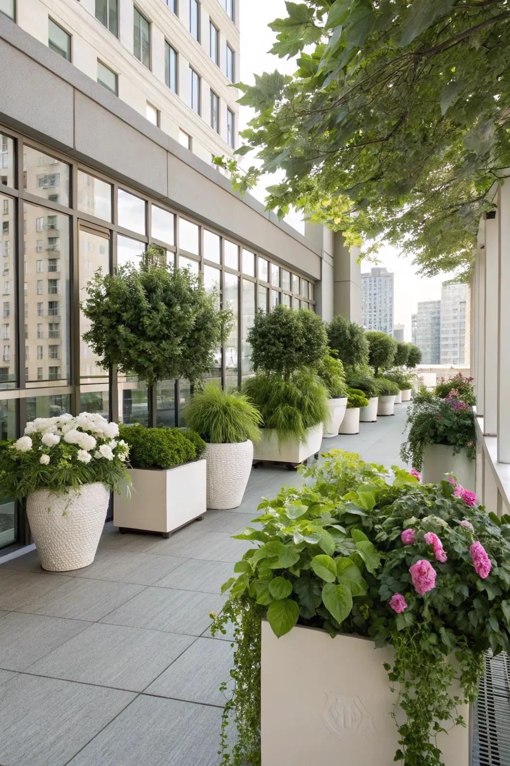 Greens and pots bring life and color to your terrace.