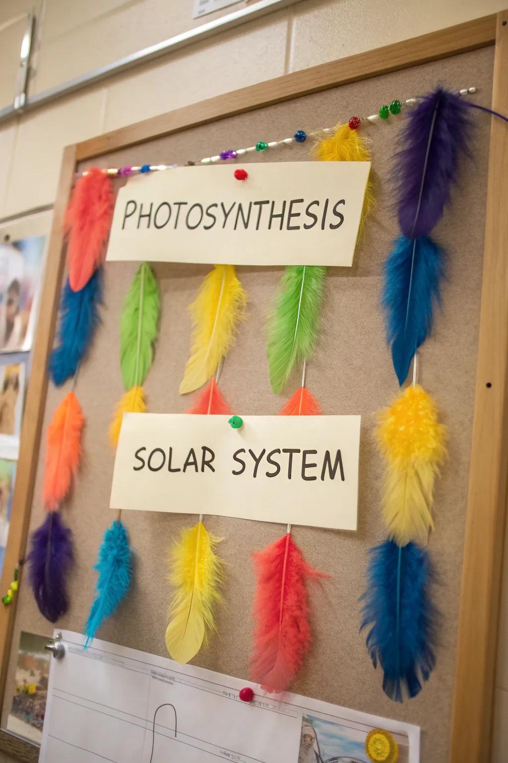 Feathered Friends exemplifying a month's worth of scholastic attainment.