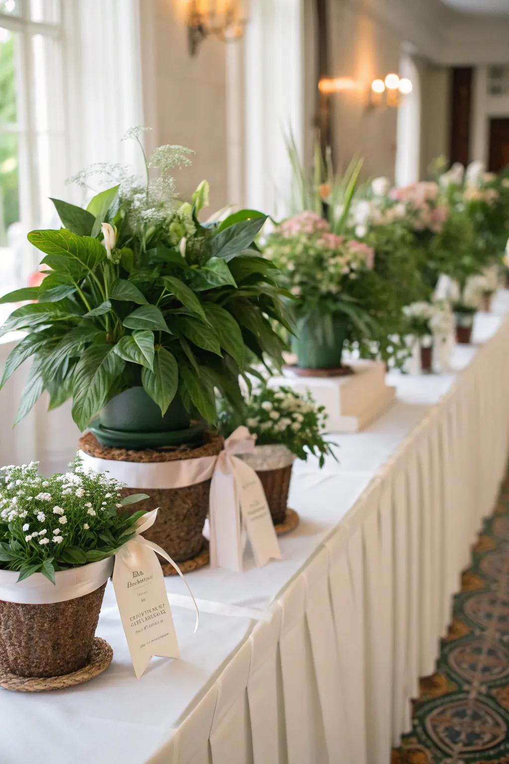 Rooted flora providing dual-purpose decor and keepsake choices for guests.