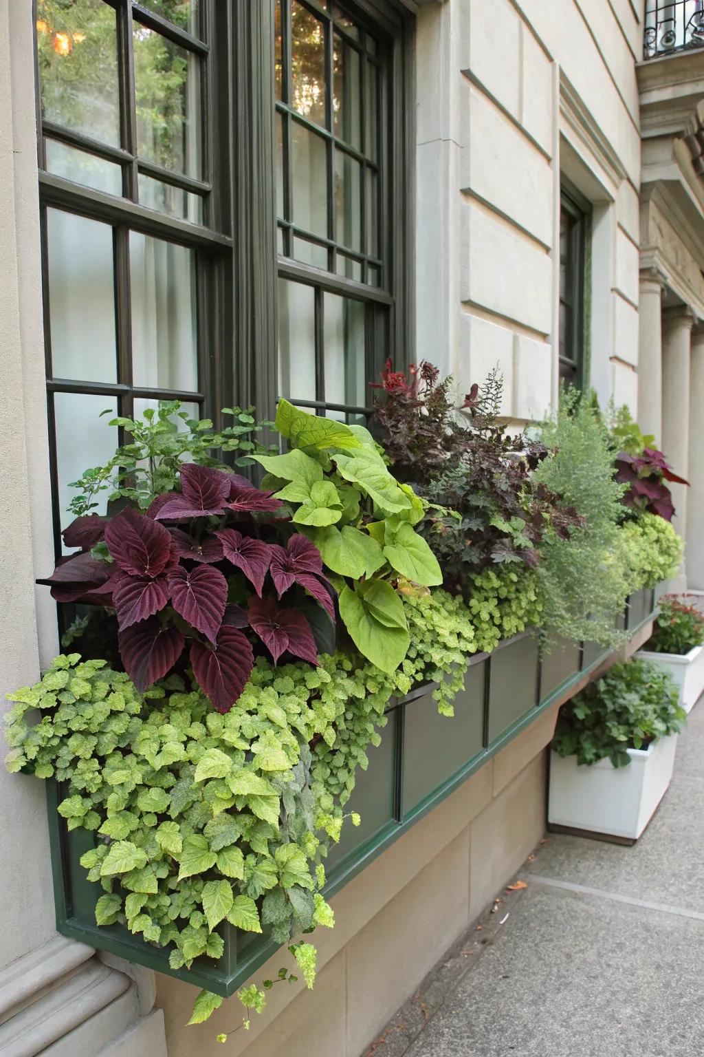 A monochrome green palette creates a sophisticated window box.