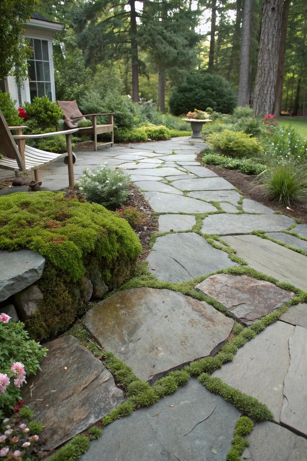 A flagstone patio adorned with lush moss accents.