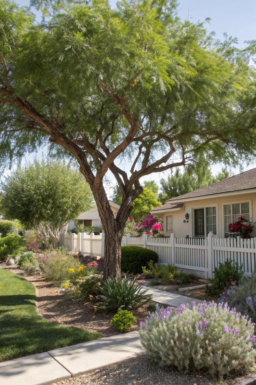 Arboreal options offering shade and sustainability.