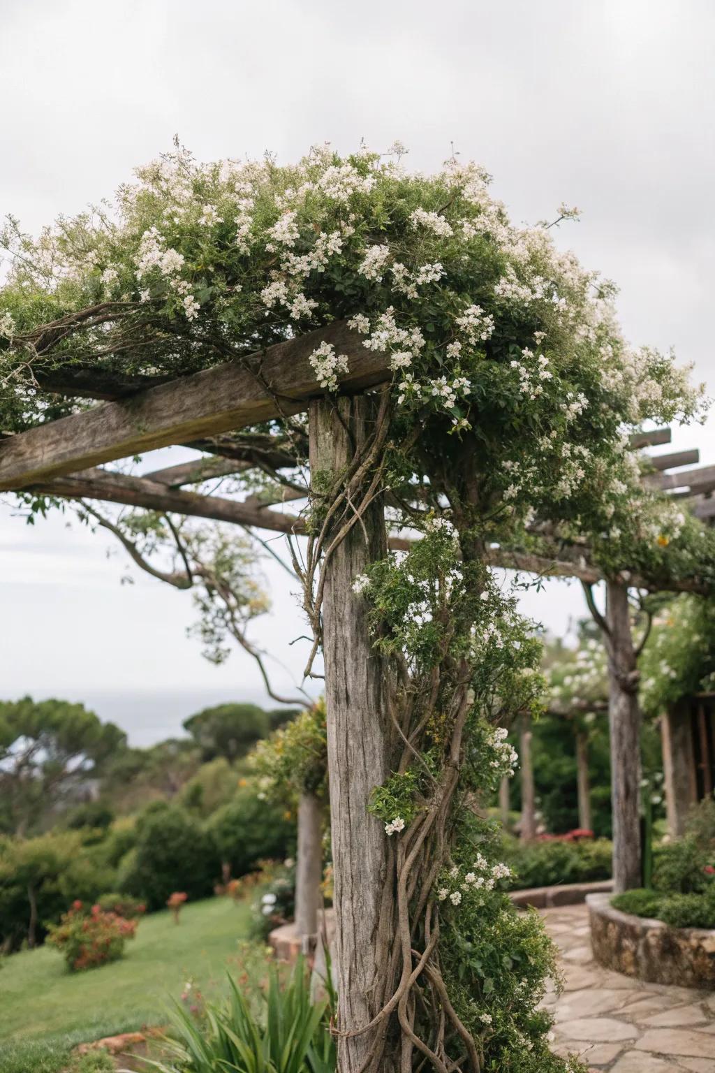 Embrace rustic charm with a limb-crafted blossom frame.