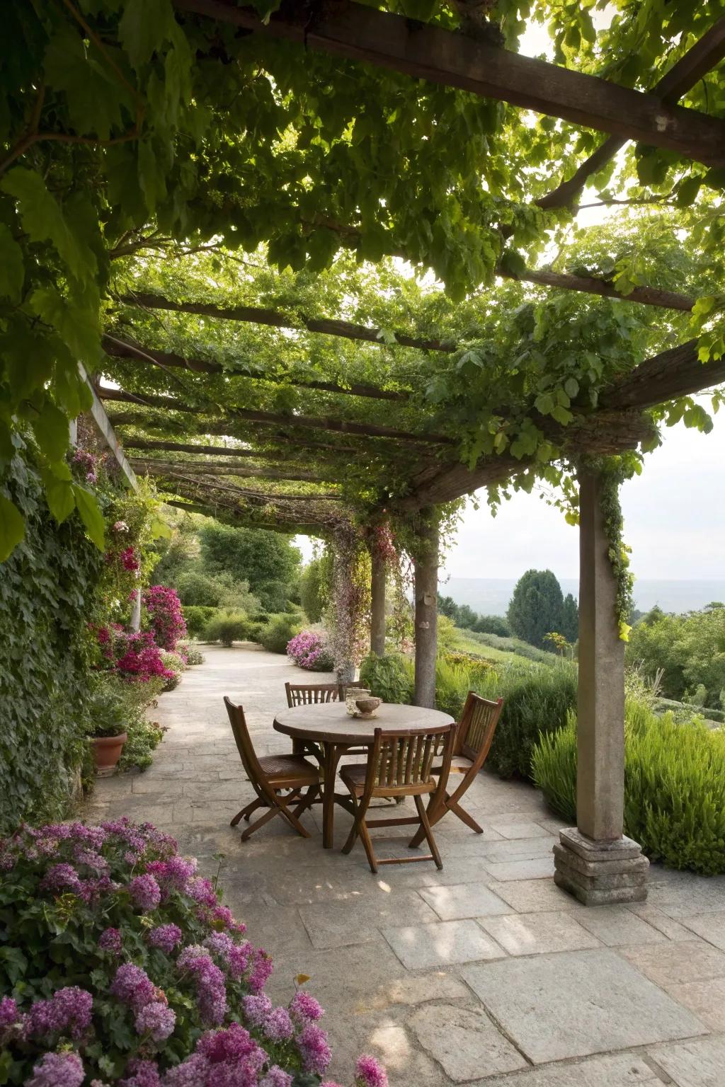 Keep cool with elegant and natural shade options.