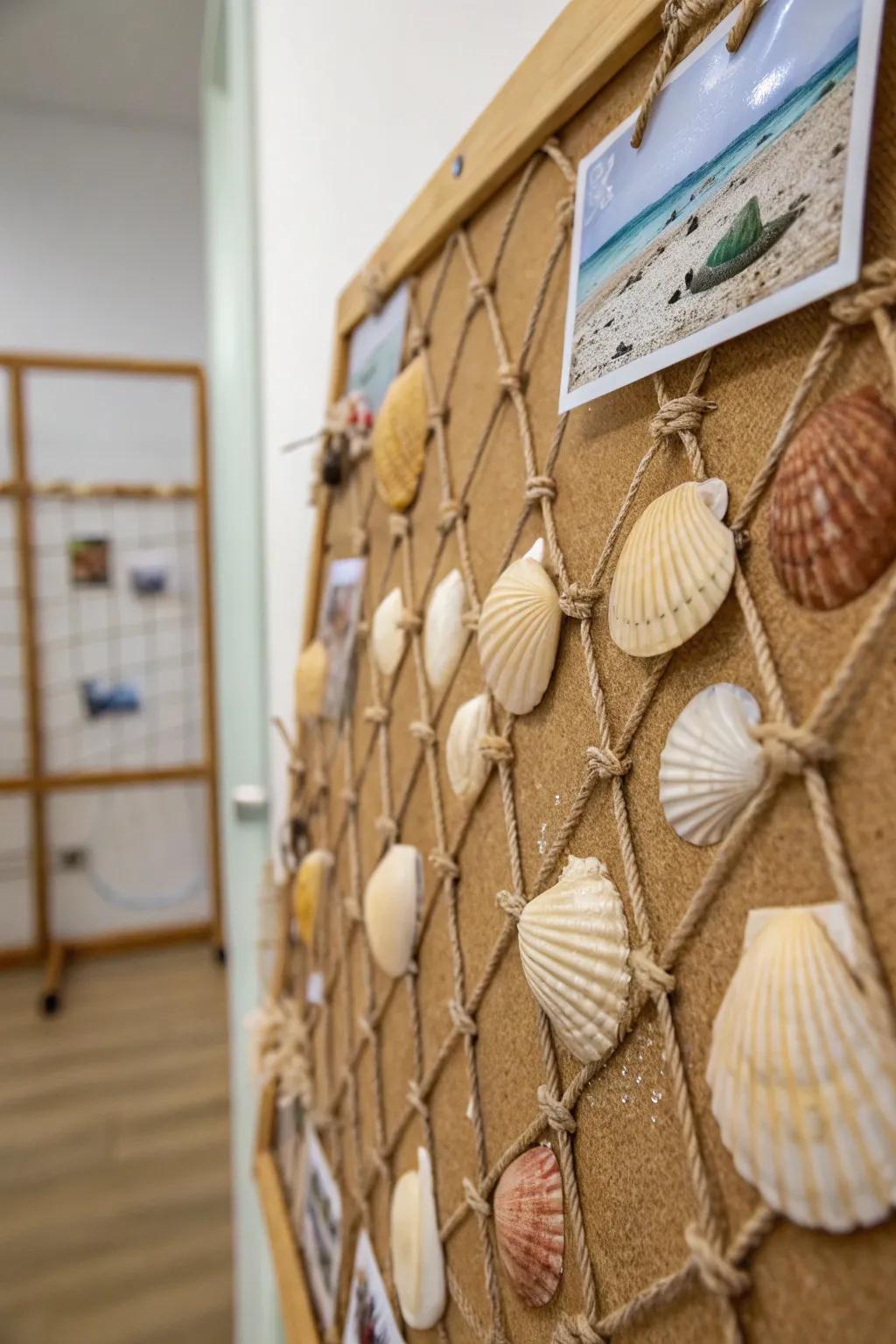 Capture the essence of the beach through a seashell showcase.