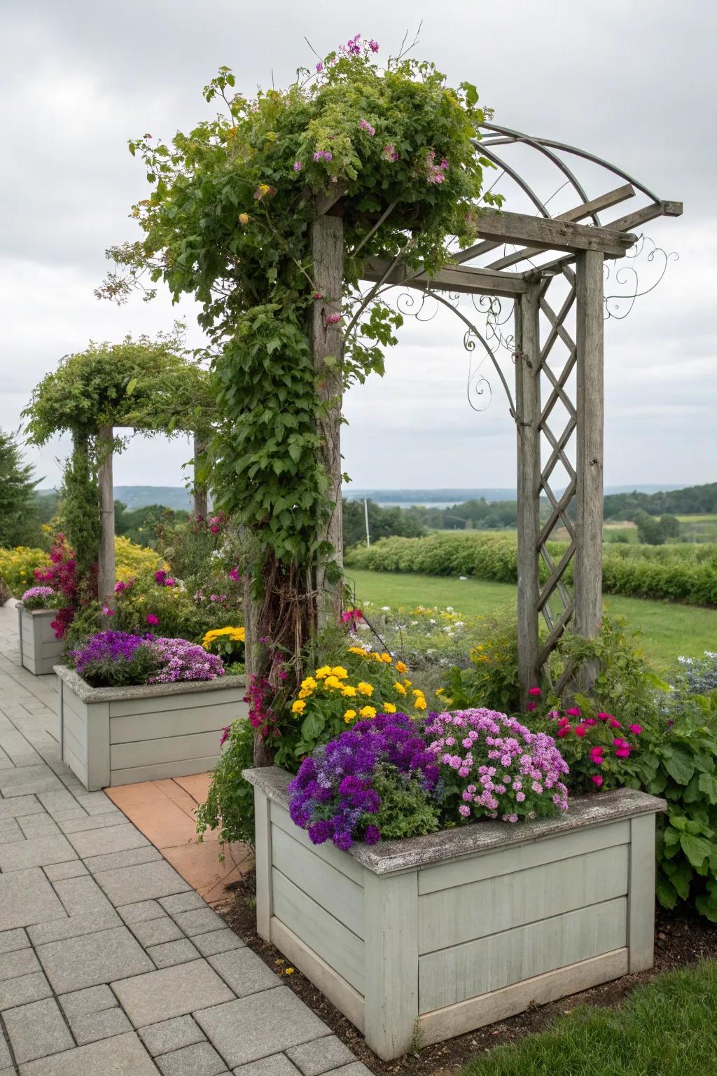 A vibrant arbor showcasing exquisite planter boxes filled with blossoms.