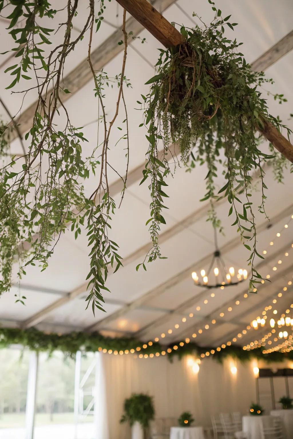 Twig canopies bring nature indoors.