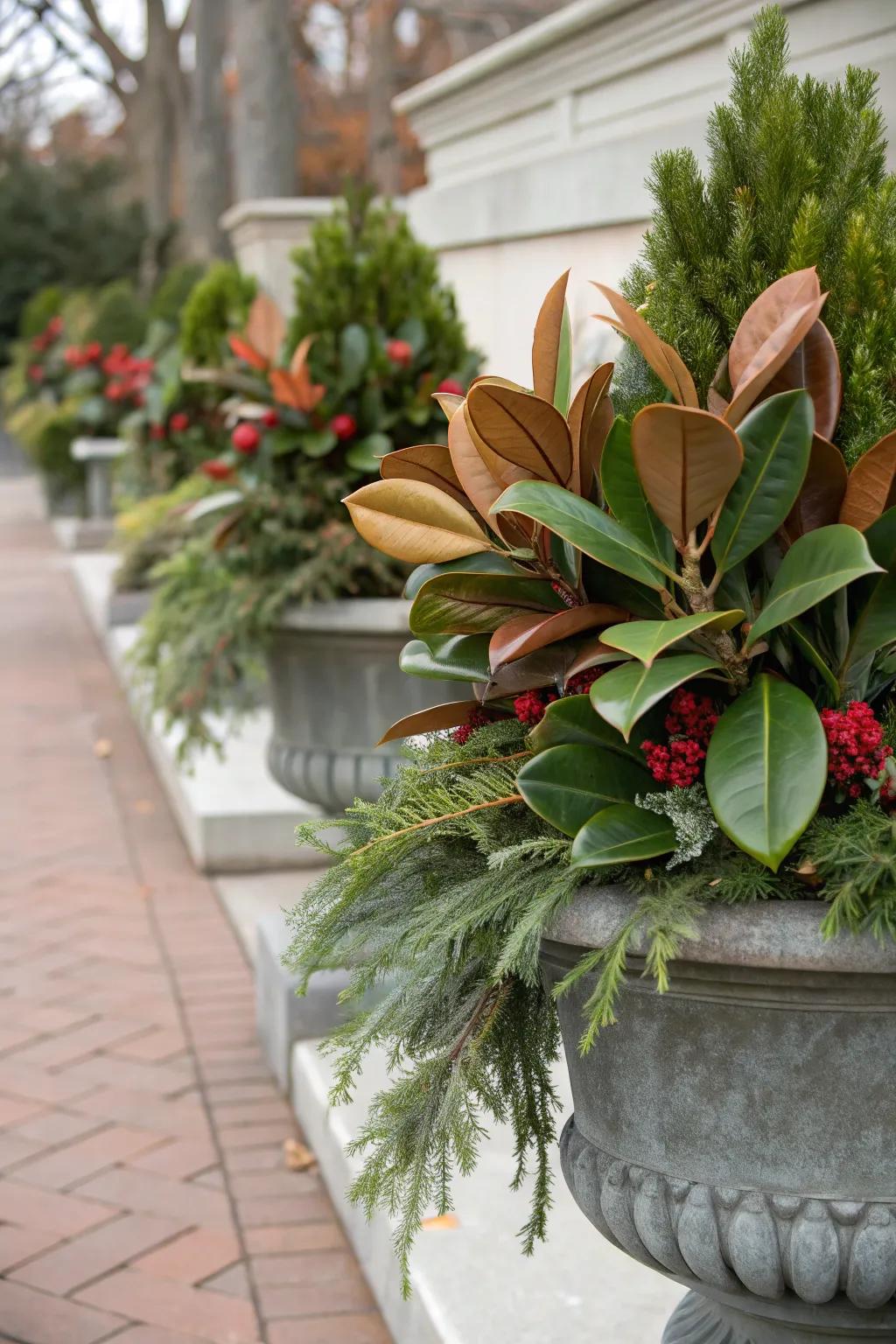 Magnolia foliage tenders a singular and refined flair.