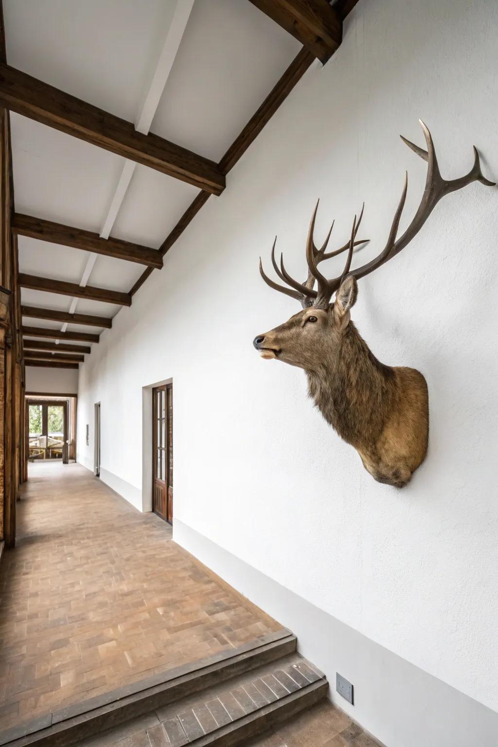 A minimalist animal head that makes a strong statement.