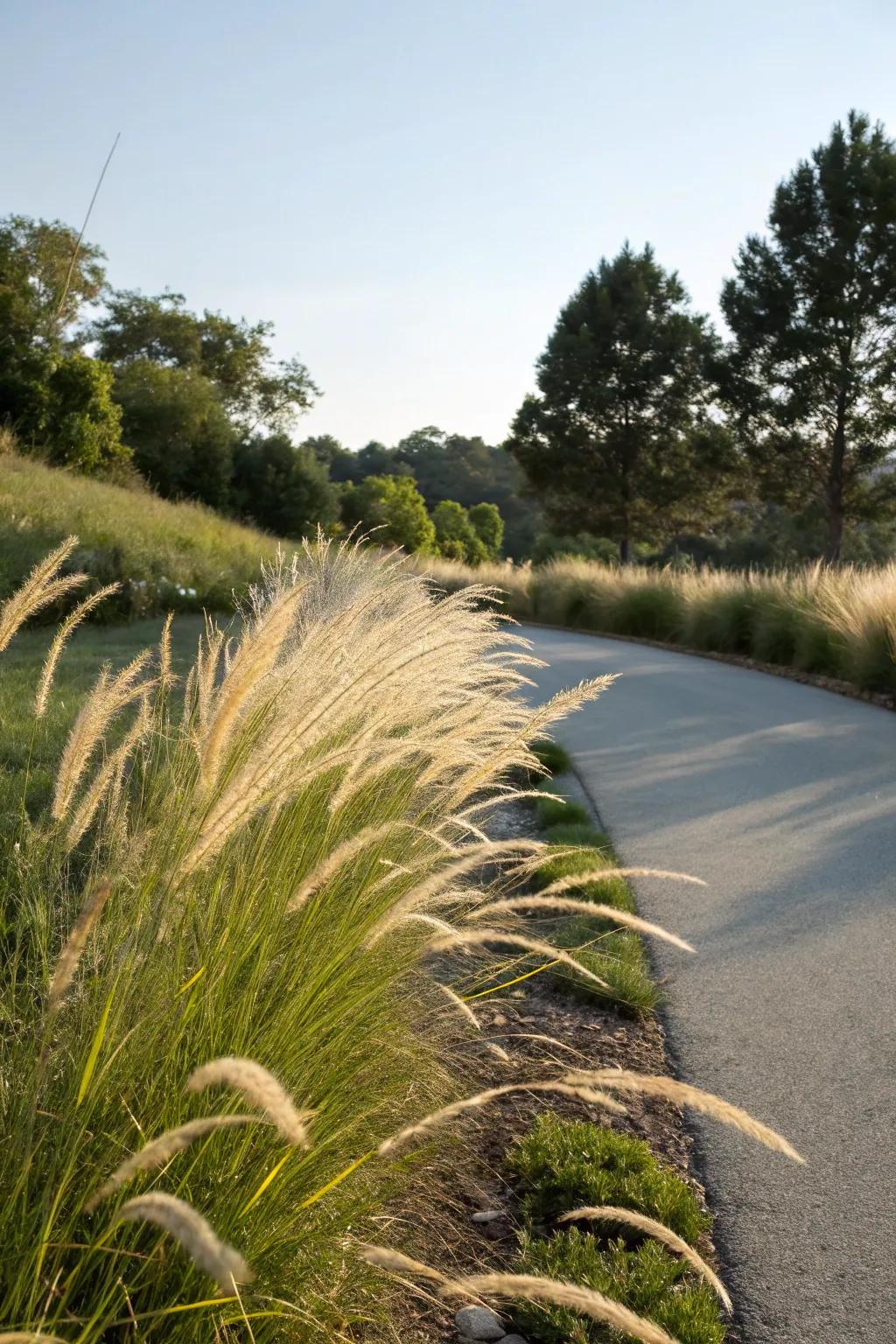 Ornamental grasses inject movement and softness into the berm.