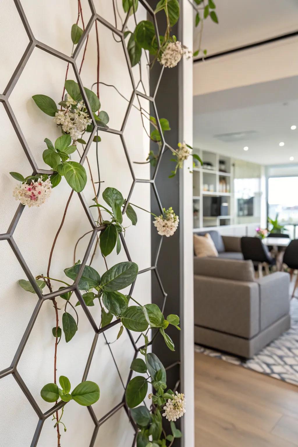 A chic urban apartment showcasing a Waxplant on hexagonal supports.