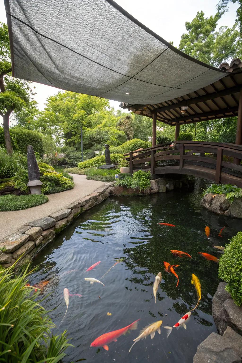 A koi pond with a DIY tarp shade providing budget-friendly cover.