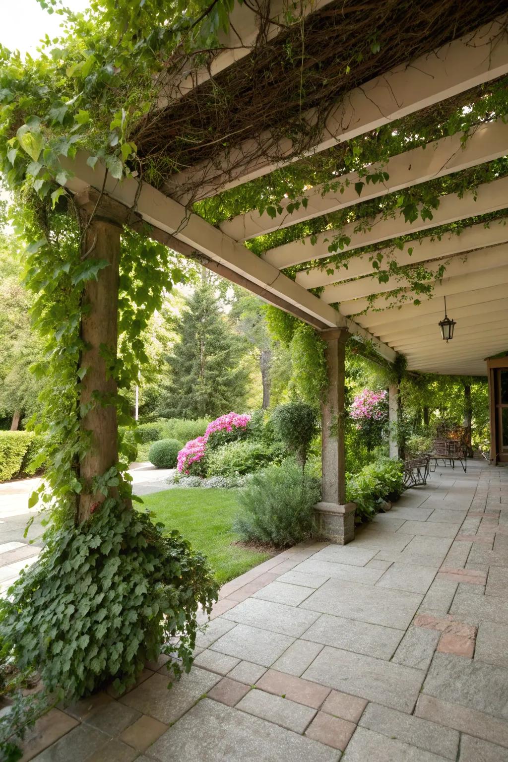 Botanical integration infuses innate allure into patio covers.