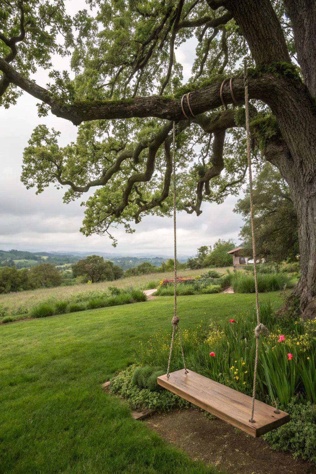 An arboreal swing evolves into the core of backyard escapades.