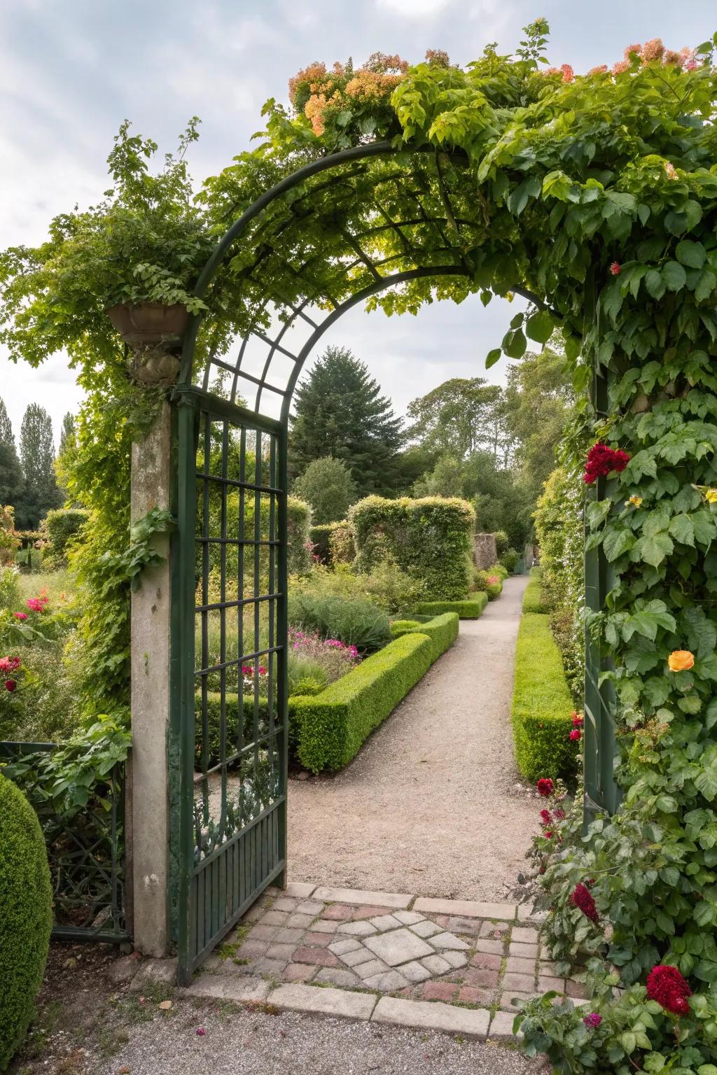Lattice barriers append verdure and allure to your garden.