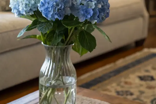 Chic Hydrangea Styling Ideas for Every Occasion